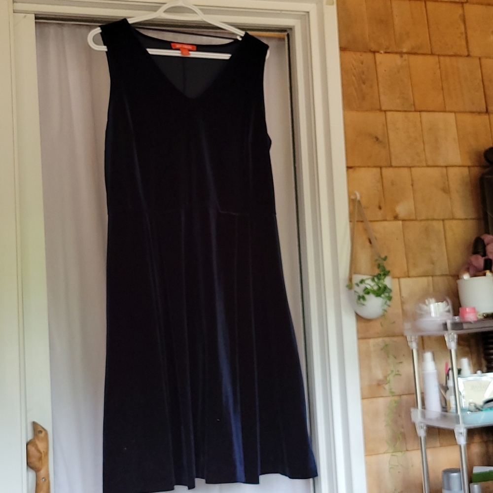 Navy velour dress